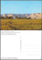 Saudi Arabia Riyadh Cultivation Of Cereals PPC 1980s. Agriculture - Arabie Saoudite