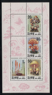 Korea - 1993 Mushrooms Kleinbogen (2) MNH__(FIL-9939) - Korea (Noord)