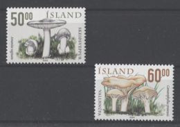 Iceland - 2004 Mushrooms MNH__(TH-11994) - Unused Stamps