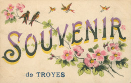 * FANTAISIE * SOUVENIR DE TROYES * FLEURS * HIRONDELLES * EDIT. HAREL * 1917 - Troyes