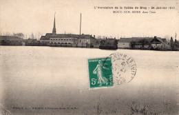 L'inondation De La Vallée De Bray  , 24 Janvier 1910 , MOUY-SUR-SEINE , Dans L'eau - Autres & Non Classés