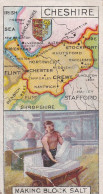 18 Cheshire - Counties & Their Industries 1914 / 15  - Players Cigarette Cards - Antique - County Map - Player's