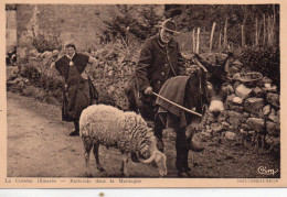 La Corrèze Animée Pastorale Dans La Montagne Mouton Ane âne - Other & Unclassified