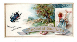 Chromo Chocolat Suchard, S 63 / C, Coleoptères, Insect - Suchard