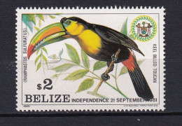 132 BELIZE 1981 - Yvert 565 - Oiseau Toucan - Neuf **(MNH) Sans Charniere - Belize (1973-...)
