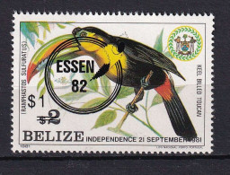 132 BELIZE 1982 - Yvert 580 Surcharge - Oiseau Toucan - Neuf **(MNH) Sans Charniere - Belize (1973-...)