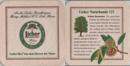 5005219 Bierdeckel Quadratisch - Licher - Beer Mats