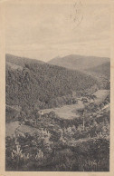 Wernigerode A.Harz Mühlental Gl1925 #D1001 - Sonstige & Ohne Zuordnung