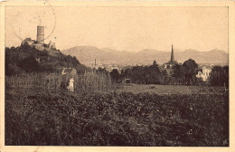 Bad Godesberg Godesburg Und Panorama Gl1911 #145.961 - Autres & Non Classés