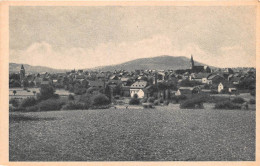 Miesenheim Panorama Ngl #146.399 - Autres & Non Classés