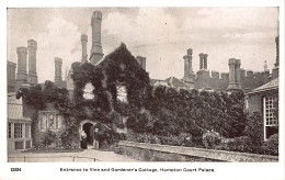 England: London Hampton Court Palace Vine And Gardener's Cottage Ngl #147.534 - Andere & Zonder Classificatie