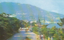 Jalta, Krim, Promenade Ngl #D1663 - Ukraine