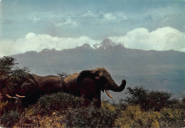 Tiere: Elefanten Vor Mount Kenya / Elepfants In Front Of Mt. Kenya Ngl #150.568 - Autres & Non Classés