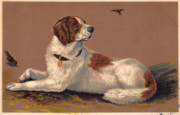 Tiere: Hund Prägekarte Gl1906 #150.588 - Autres & Non Classés