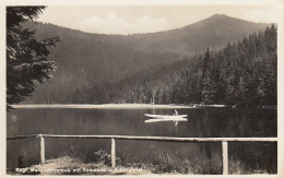 Bayer.Wald Arbersee Mit Seewand Und Arbergipfel Ngl #D2432 - Autres & Non Classés