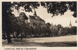 Saalfeld/Saale Schloss Mit Gertrudiskirche Ngl #D2996 - Autres & Non Classés
