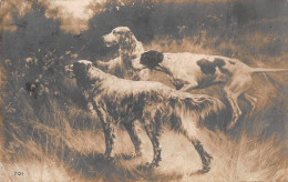 Tiere: Drei Jagdhunde Bei Der Arbeit Gl1912 #150.598 - Autres & Non Classés