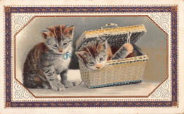 Tiere: Zwei Junge Kätzchen Dekorativ Eingerahmt Ngl #150.691 - Autres & Non Classés