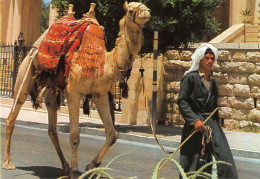 Tiere: Kamel Jerusalem Old City Street Scene Ngl #150.669 - Other & Unclassified