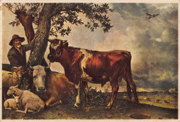 Tiere: Der Junge Stier Paulus Potter Gemälde Ngl #150.704 - Other & Unclassified