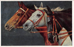 Tiere: Edle Pferde Gemälde Von Anton Koch Ngl #150.774 - Other & Unclassified