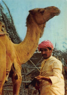Tiere: Kamel Und Kameltreiber Gl1987 #150.677 - Other & Unclassified