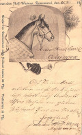 Tiere: Pferdekopf Gl1912 #150.814 - Other & Unclassified