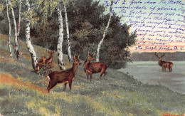 Tiere: Edelwild Rudel Von Hirschen Im Birkenwald Gl1905 #150.835 - Other & Unclassified