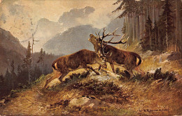 Tiere: Zwei Kämpfende Hirsche Auf Einer Waldlichtung Gl1913 #150.843 - Other & Unclassified