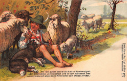 Tiere: Junge Mit Hund Und Schafherde Füttert Schaf Mit Brot Ngl #150.874 - Other & Unclassified