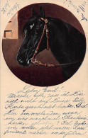 Tiere: Schwarzer Pferdekopf Gl1906 #150.811 - Other & Unclassified