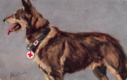 Tiere: Deutscher Schäferhund Mit Rotkreuz Halsband Gl1918 #150.643 - Autres & Non Classés