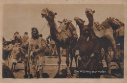 Tiere: Kamele Und Kameltreiber Ein Wüstengeschwader Ngl #150.673 - Other & Unclassified
