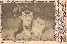Tiere: Zwei Junge Kätzchen Gl1900 #150.689 - Autres & Non Classés