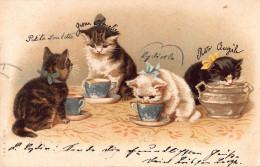 Tiere: Junge Kätzchen Mit Schleifchen Trinken Aus Tassen Gl1901 #150.688 - Other & Unclassified