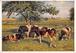 Tiere: Schwarzbunte Kühe "In Der Koppel" Ngl #150.701 - Autres & Non Classés