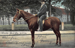 Tiere: Pferd Mit Reiter Gl1902 #150.769 - Other & Unclassified