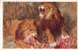 Tiere: Zwei Löwen Beim Fressen Von Beute Ngl #150.728 - Autres & Non Classés