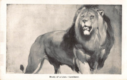 Tiere: Löwen Gemälde Von Landseer Study Of A Lion Ngl #150.738 - Autres & Non Classés