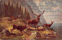 Tiere: Rudel Hirsche Am Bergsee Gl1924 #150.826 - Autres & Non Classés