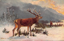 Tiere: Hirsch Im Gebirge Ngl #150.847 - Autres & Non Classés