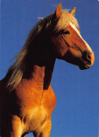 Tiere: Haflinger Gl1987 #150.806 - Autres & Non Classés