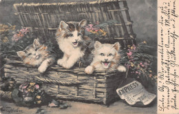 Tiere: Drei Junge Kätzchen Sitzen Im Korb Mit Blumen Gl1904 #150.690 - Autres & Non Classés