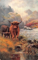 Tiere: Hochlandrinder / In The Highlands Gl1909 #150.709 - Autres & Non Classés