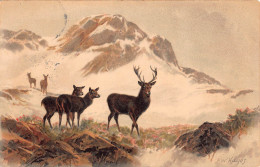 Tiere: Hirsch Mit Kühen Im Hochgebirge Gemälde F. W. Hayes Feldpgl1906 #150.856 - Autres & Non Classés