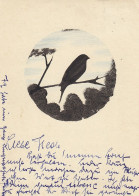 Miniatur Vogel Im Baum Gl1934 #D4211 - Ohne Zuordnung