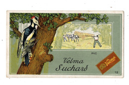 Rare Chromo Chocolat Suchard, S 289 / 12, Oiseau, Pic - Suchard