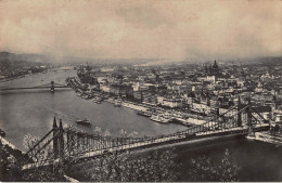 Budapest Donauansicht Mit Der Elisabethbrücke / Dunai Látkép Ngl #150.038 - Hongrie