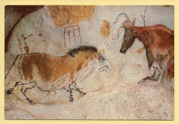 24. MONTIGNAC – LASCAUX II / Diverticule Axial / Cheval Chinois / Vache Rouge (voir Scan Recto/verso) - Montignac-sur-Vézère