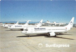 SunExpress Flugzeugflotte Werbepostkarte Gl2005 #151.689 - Autres & Non Classés